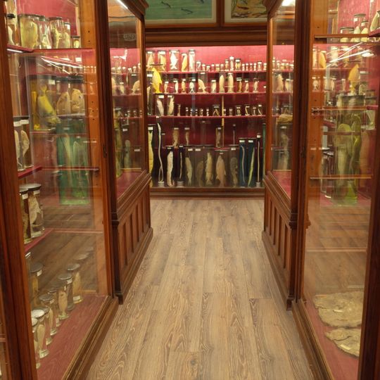 Zoological Museum in Cluj-Napoca