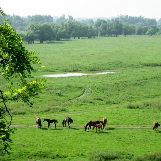 Distretto di Kazimierza Wielka