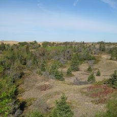 Spruce Woods Provincial Park