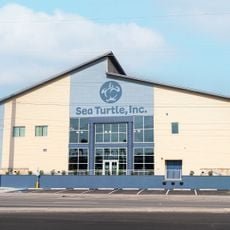 Sea Turtle, Inc.