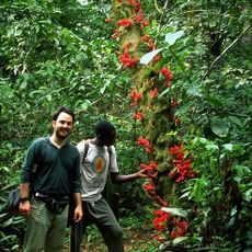 Cross-Sanaga-Bioko coastal forests