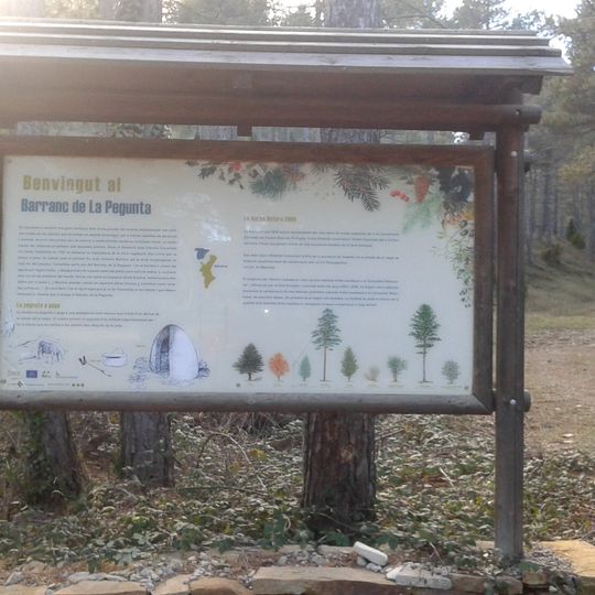 Microrreserva Barranco de la Pegunta