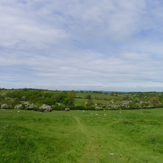Moated site and deserted medieval village at Old Ingarsby