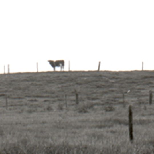 Kasteelberg Spreeuwenstein