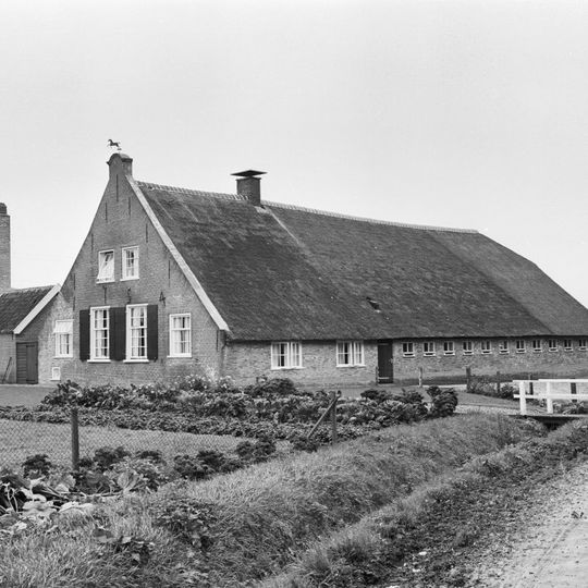 Balkenschoten