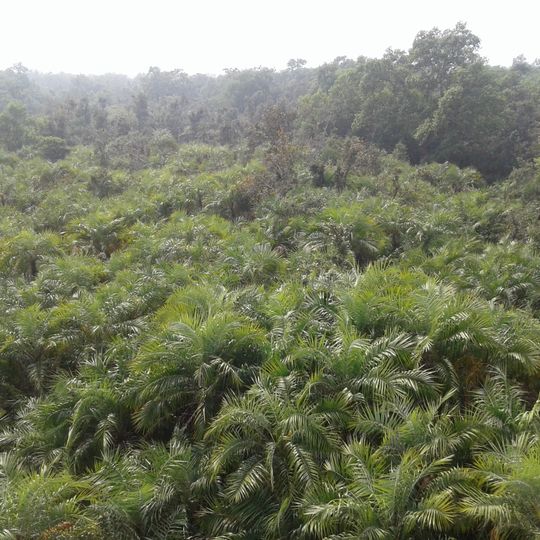 Chadpai Wildlife Sanctuary