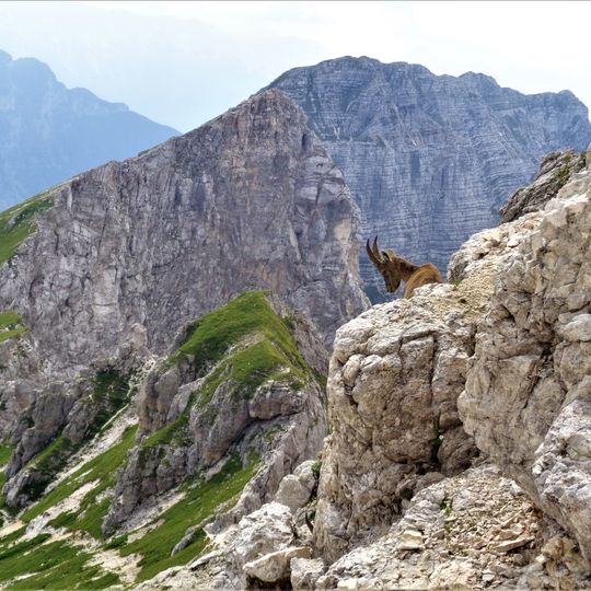 Parco naturale delle Prealpi Giulie