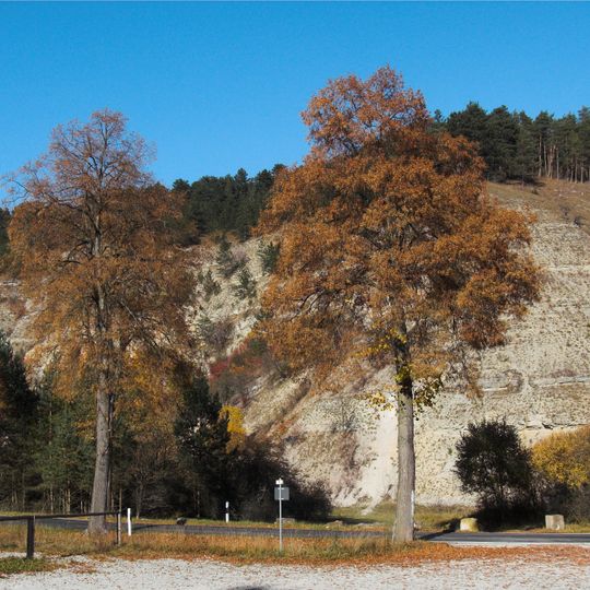 Jonas Valley