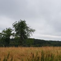 Saint-Martin-le-Mault