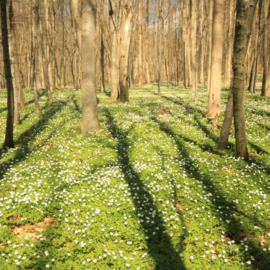 Stormsdorfer Bachtal