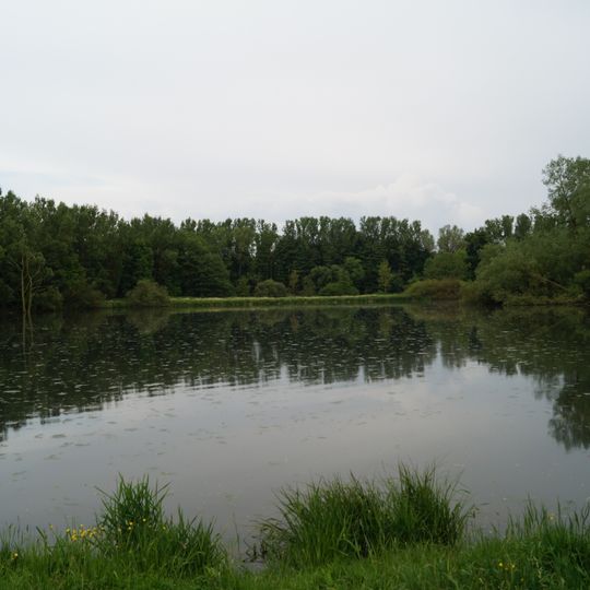 Naturschutzgebiet Antrifttalsperre bei Angenrod