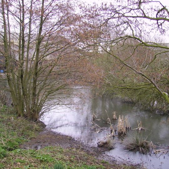 Moat Farm moated site
