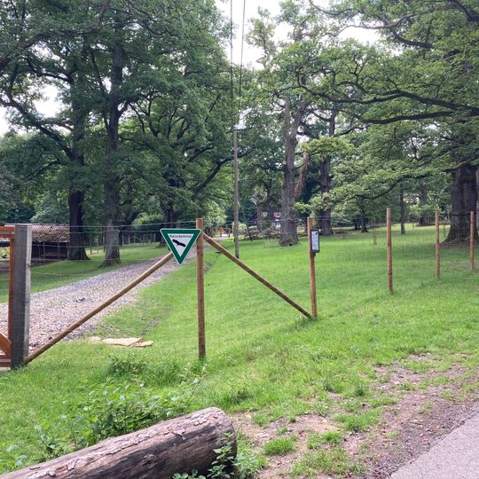 Eichenhain und Linden