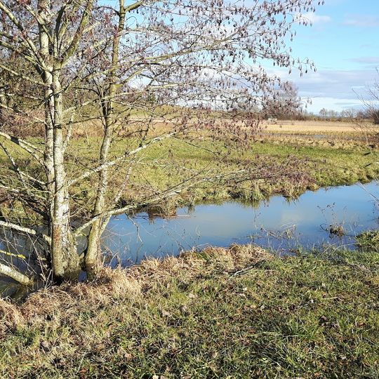 Welschingen