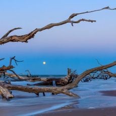 Big Talbot Island State Park