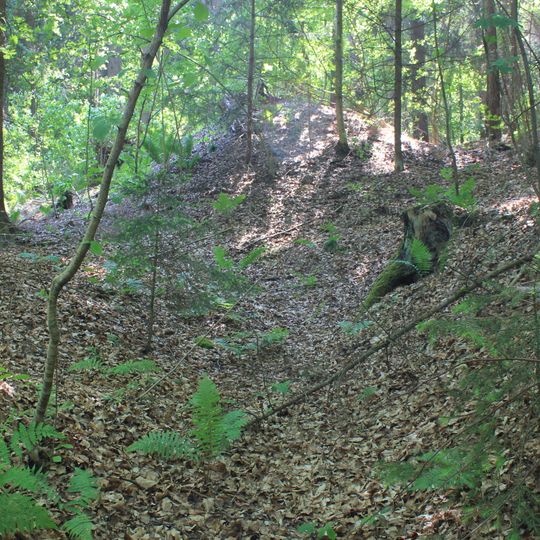 Ehemaliger Eisenerz-Bergbau am Kordigast SW von Altenkunstadt