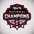 Georgia Football