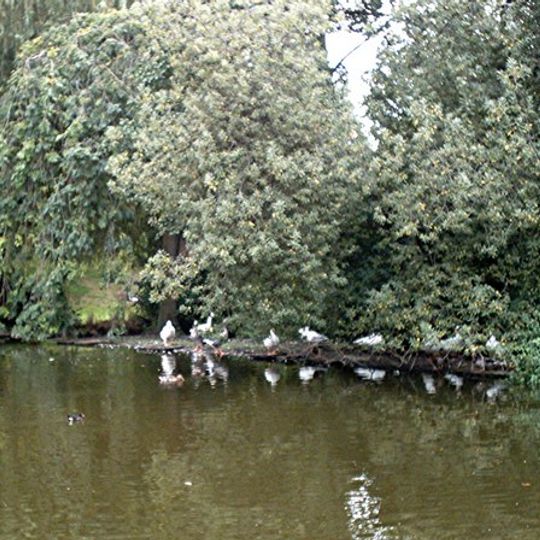 Southchurch Hall moated site