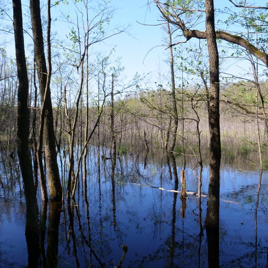 Teufelsbruch und Nebenmoore