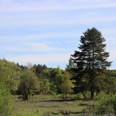 Schiefergrube Rosit bei Nauroth