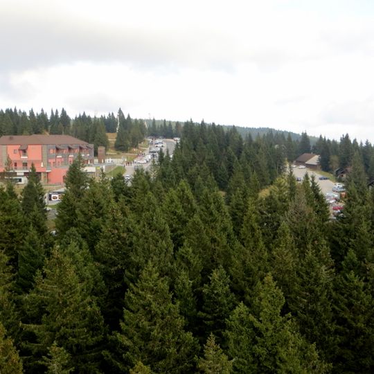 Rogla