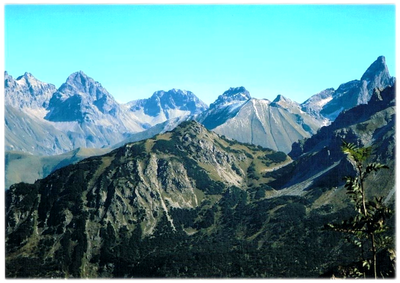 La vista 1