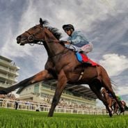 Gli ippodromi più famosi del mondo: le piste leggendarie delle grandi corse