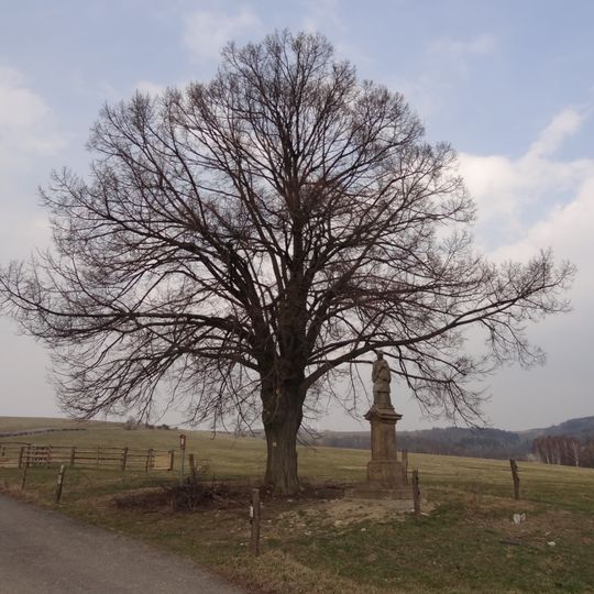 Statue of John of Nepomuk east of Dolní Vítkov