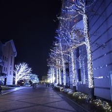 徳島文理大学附属薬用植物園