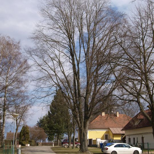 Jilm ve Slavošovicích