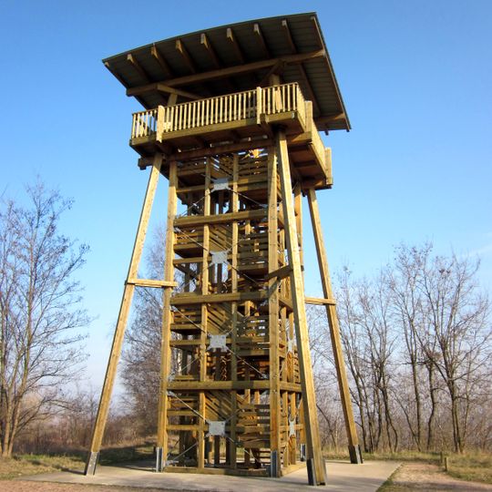 Aussichtsturm Pauline