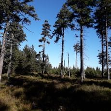 Rašeliniště na Smrku