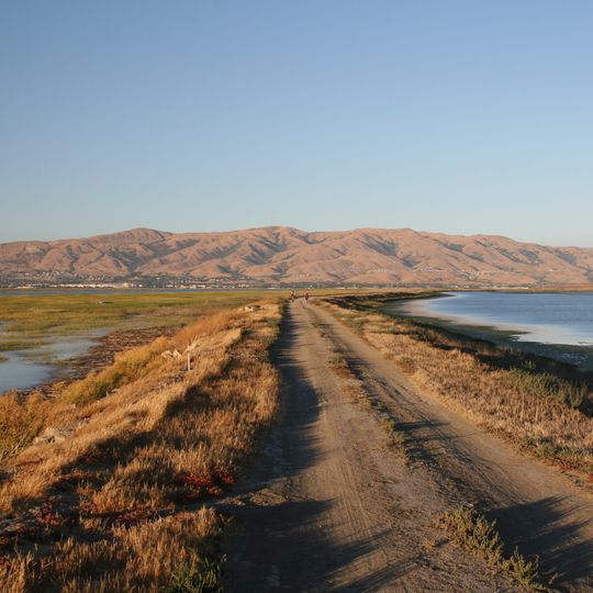 Alviso