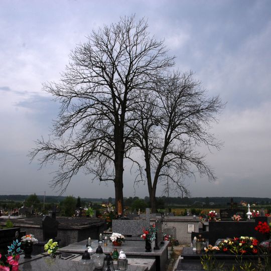 Cemetery in Solec-Zdrój