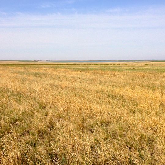 Bandiera anteriore destra di Horqin