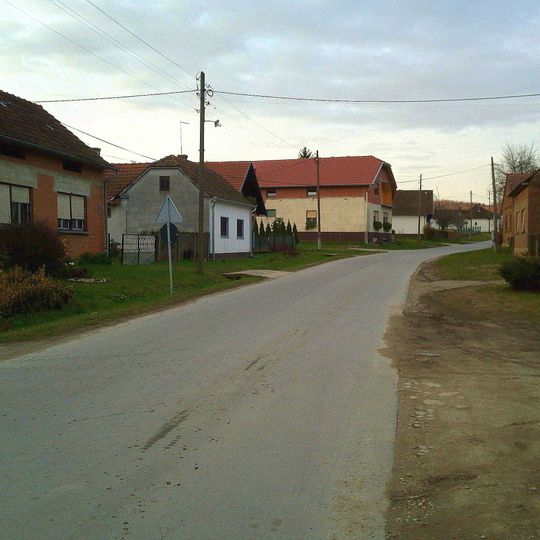 Kozarevac