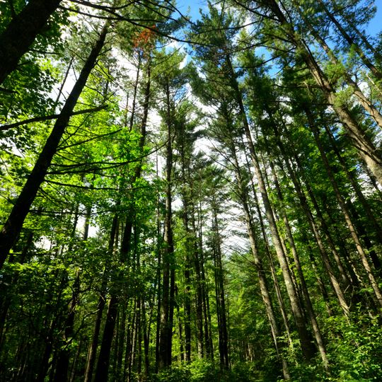 Council Grounds State Park