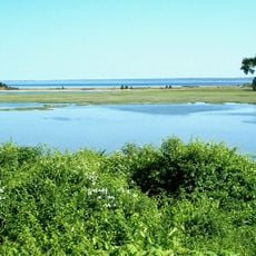 Ellisville Harbor State Park