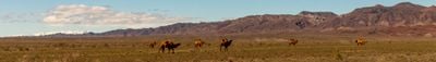 Panoramic View 2