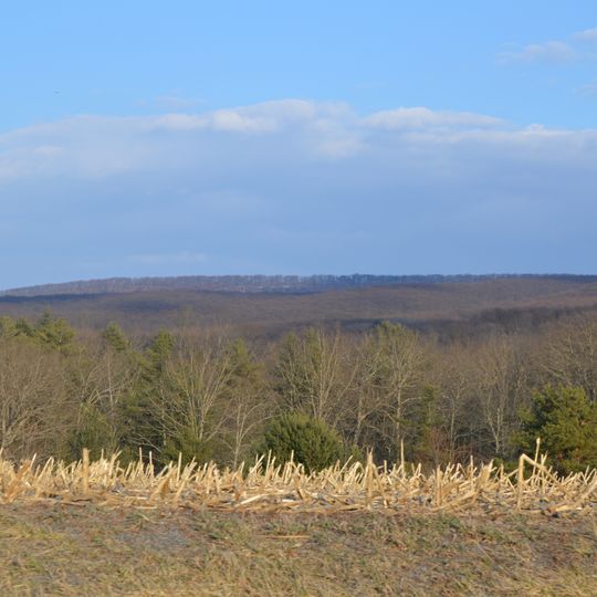 Wells Township