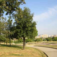 Parc de Montigalà