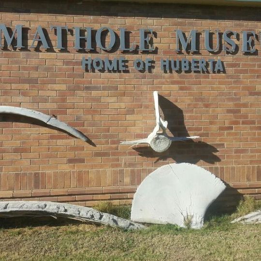 Amathole Museum Trends