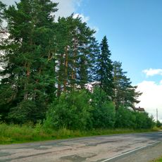 Культовая роща (Вехручей)