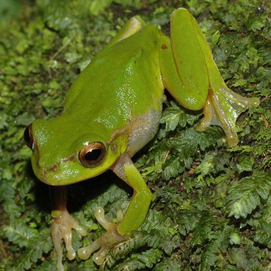 Woondum National Park