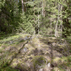 Kiviumpaidanmäki eli Pellasmäki