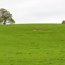 Carved rock known as the Grey Stone in Grey Stone Pasture, Harewood Park, 370m south east of New Bridge