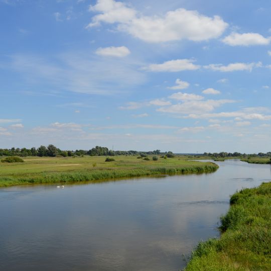 Warta