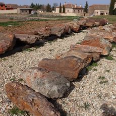 Fossilized tree trunks, Arevalillo de Cega