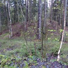 Burgstall Großwendern