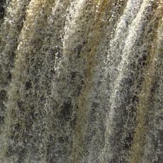 Tahquamenon Falls